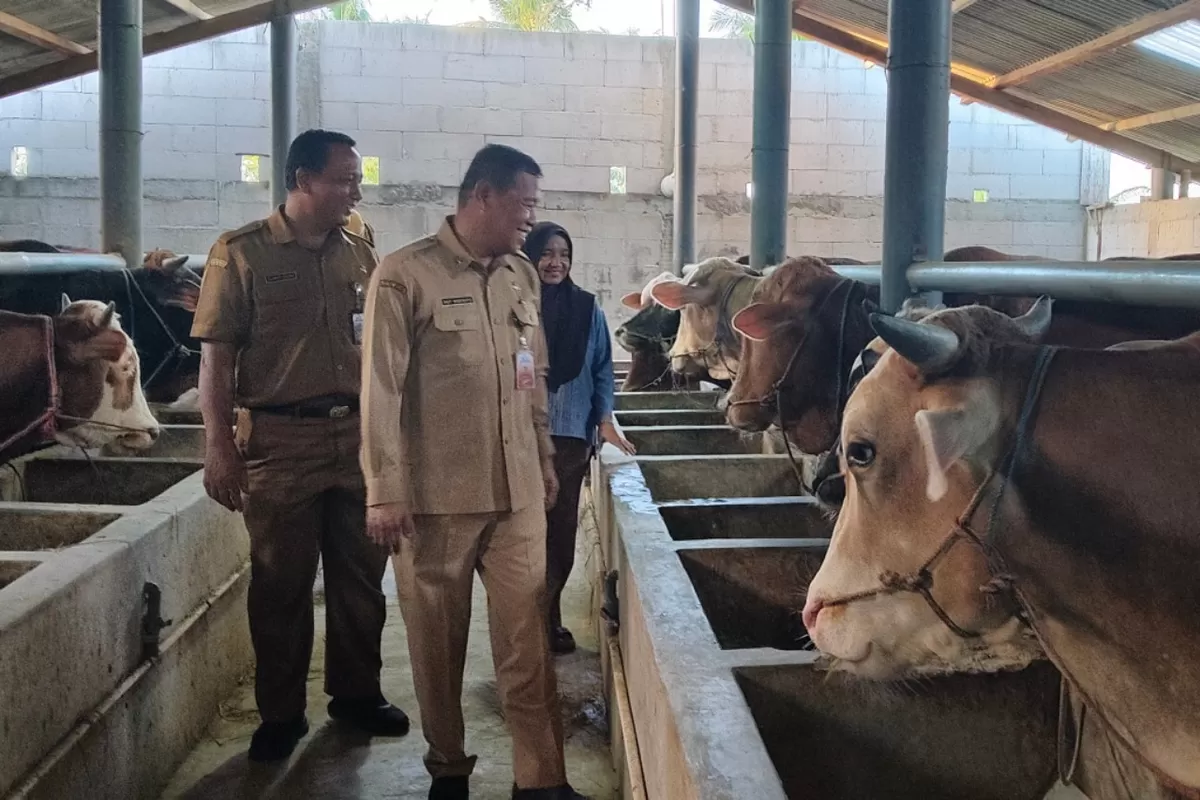 Mengapa Warga Cilacap Antre Berjam-jam untuk Cek Kesehatan Gratis di Jalan A. Yani?